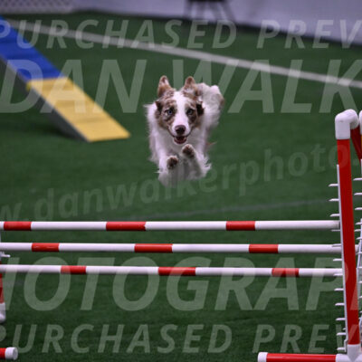 Jagger-Tamie-Rogers-02386