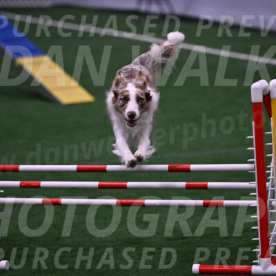 Jagger-Tamie-Rogers-02387