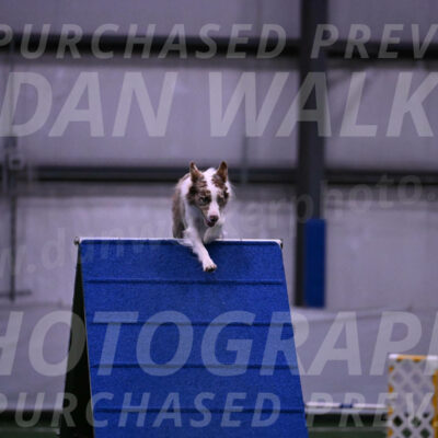 Jagger-Tamie-Rogers-02390