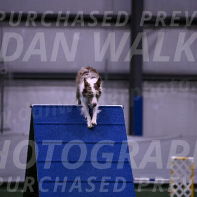 Jagger-Tamie-Rogers-02391
