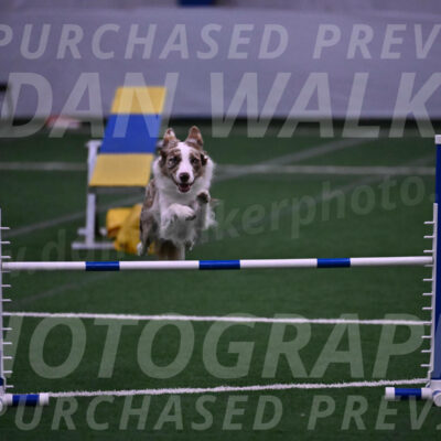 Jagger-Tamie-Rogers-02409
