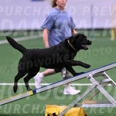 Josie-Beth-Ann-Laidman-06130