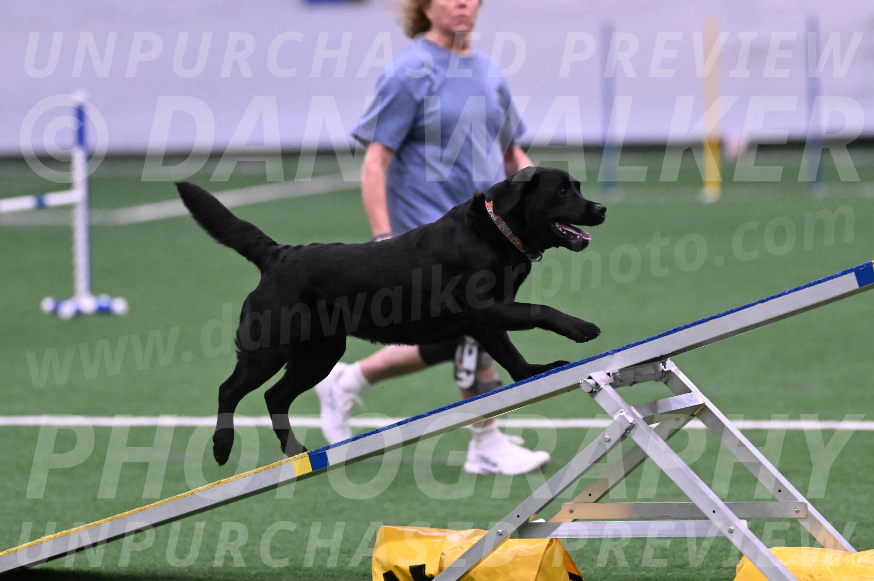 Josie-Beth-Ann-Laidman-06130