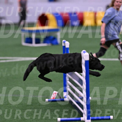 Josie-Beth-Ann-Laidman-06179