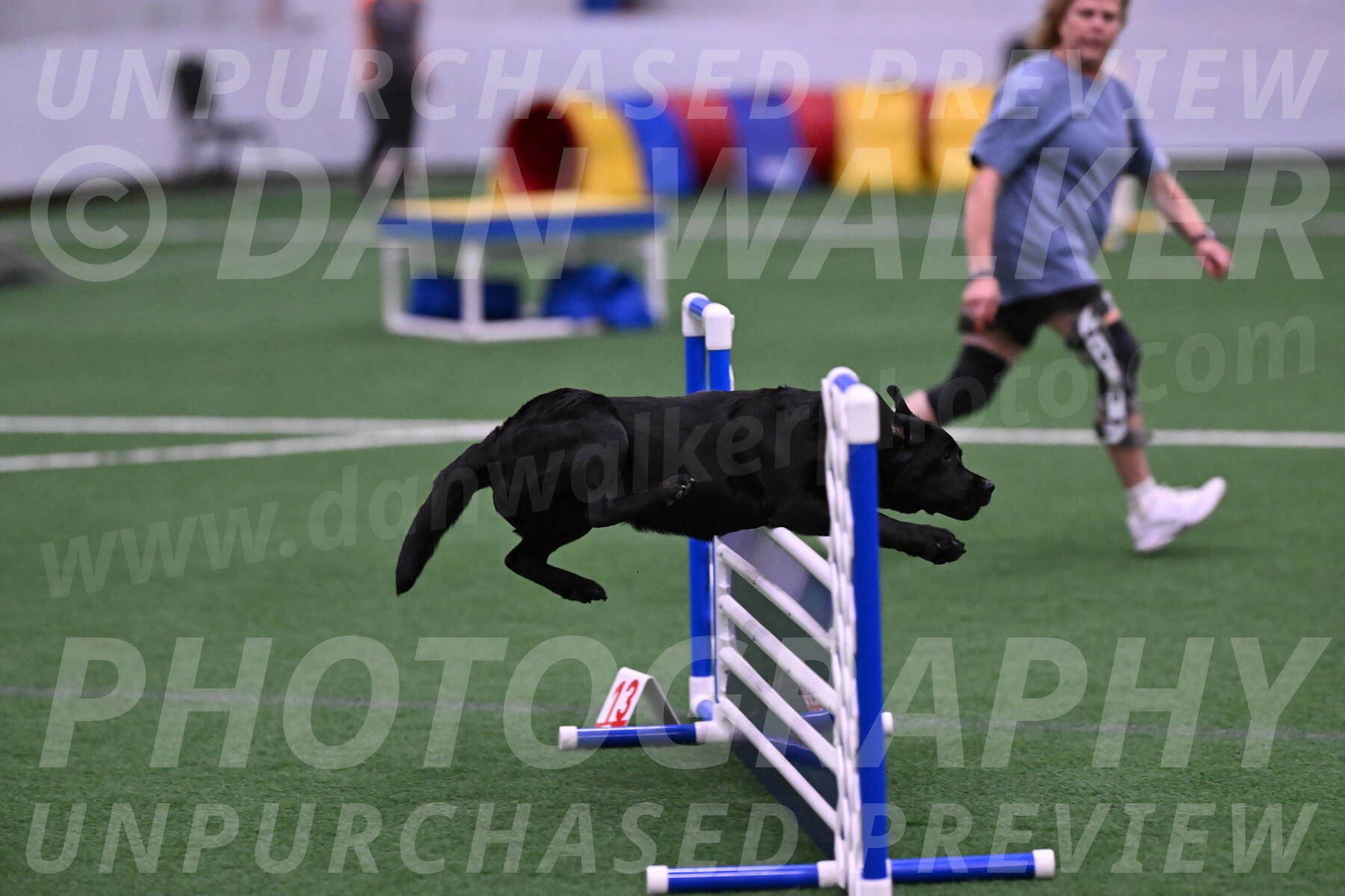 Josie-Beth-Ann-Laidman-06179