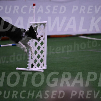 Keeper-Laurie-Wischt-02472