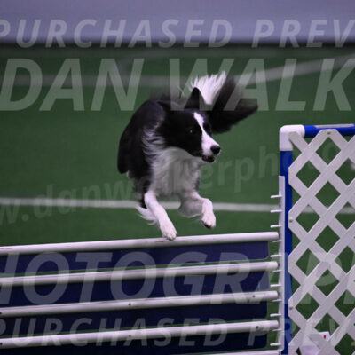 Keeper-Laurie-Wischt-02477