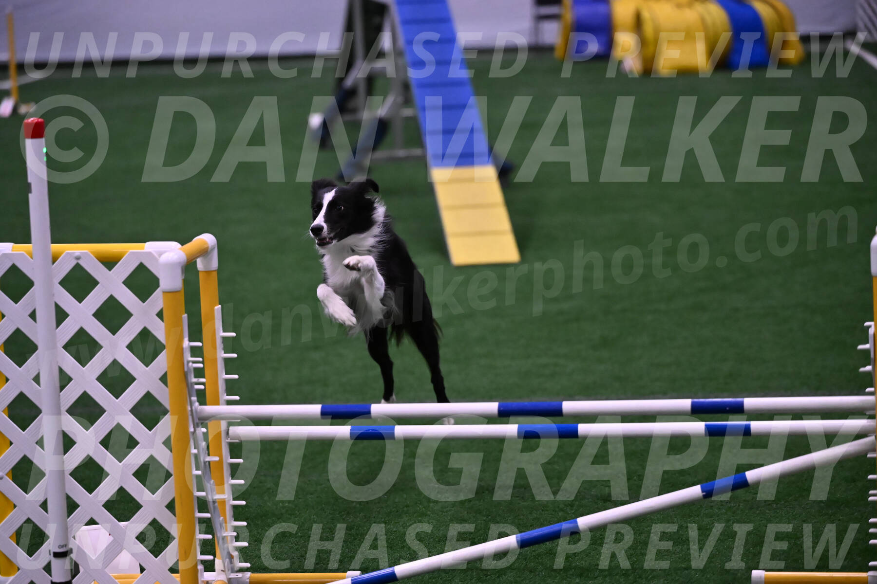 Keeper-Laurie-Wischt-02504
