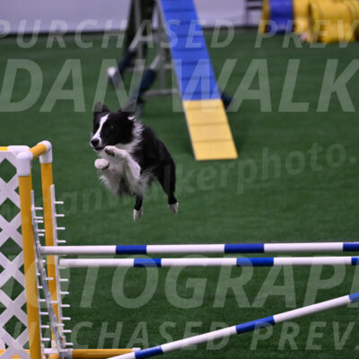Keeper-Laurie-Wischt-02505