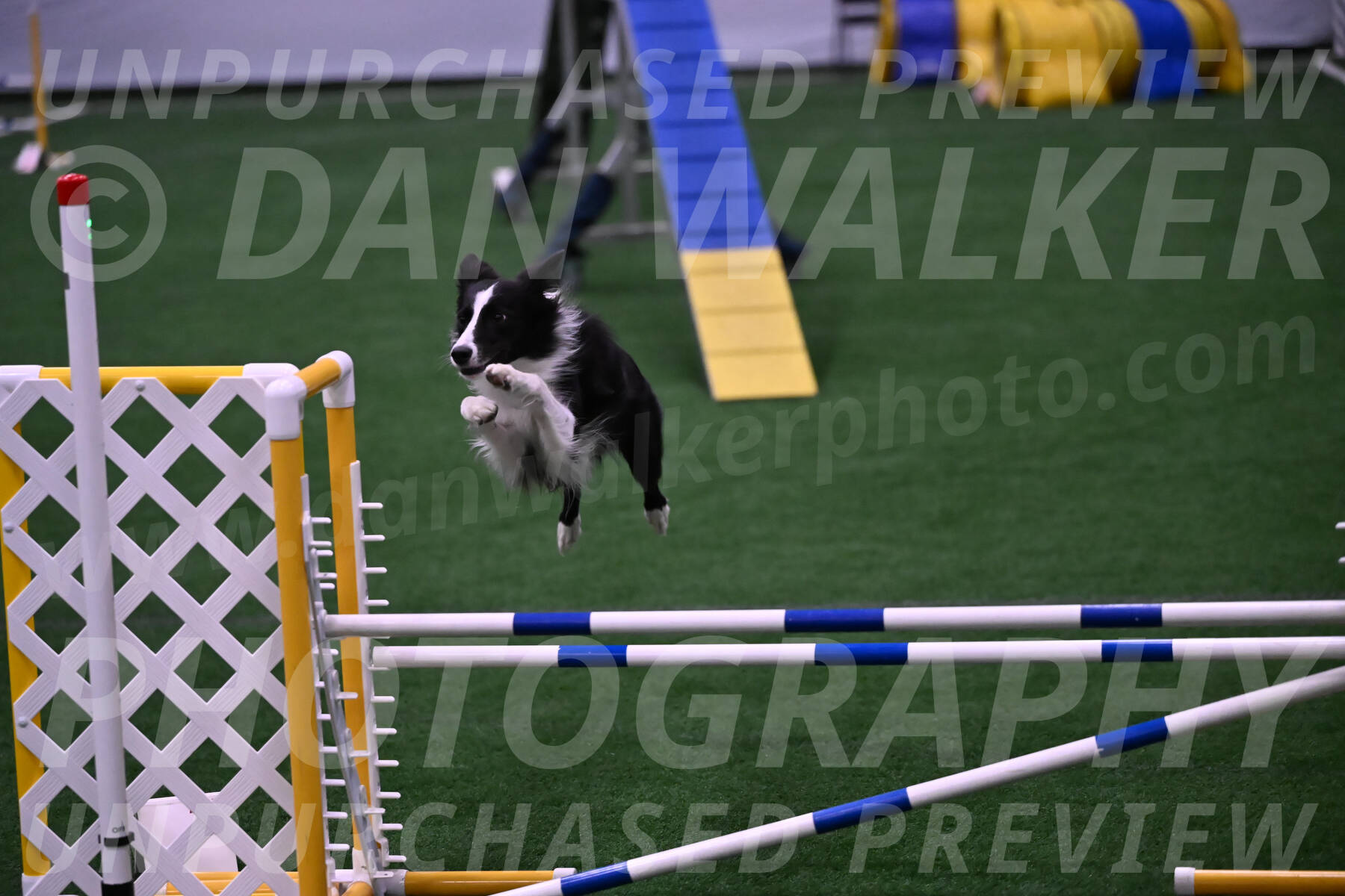 Keeper-Laurie-Wischt-02505