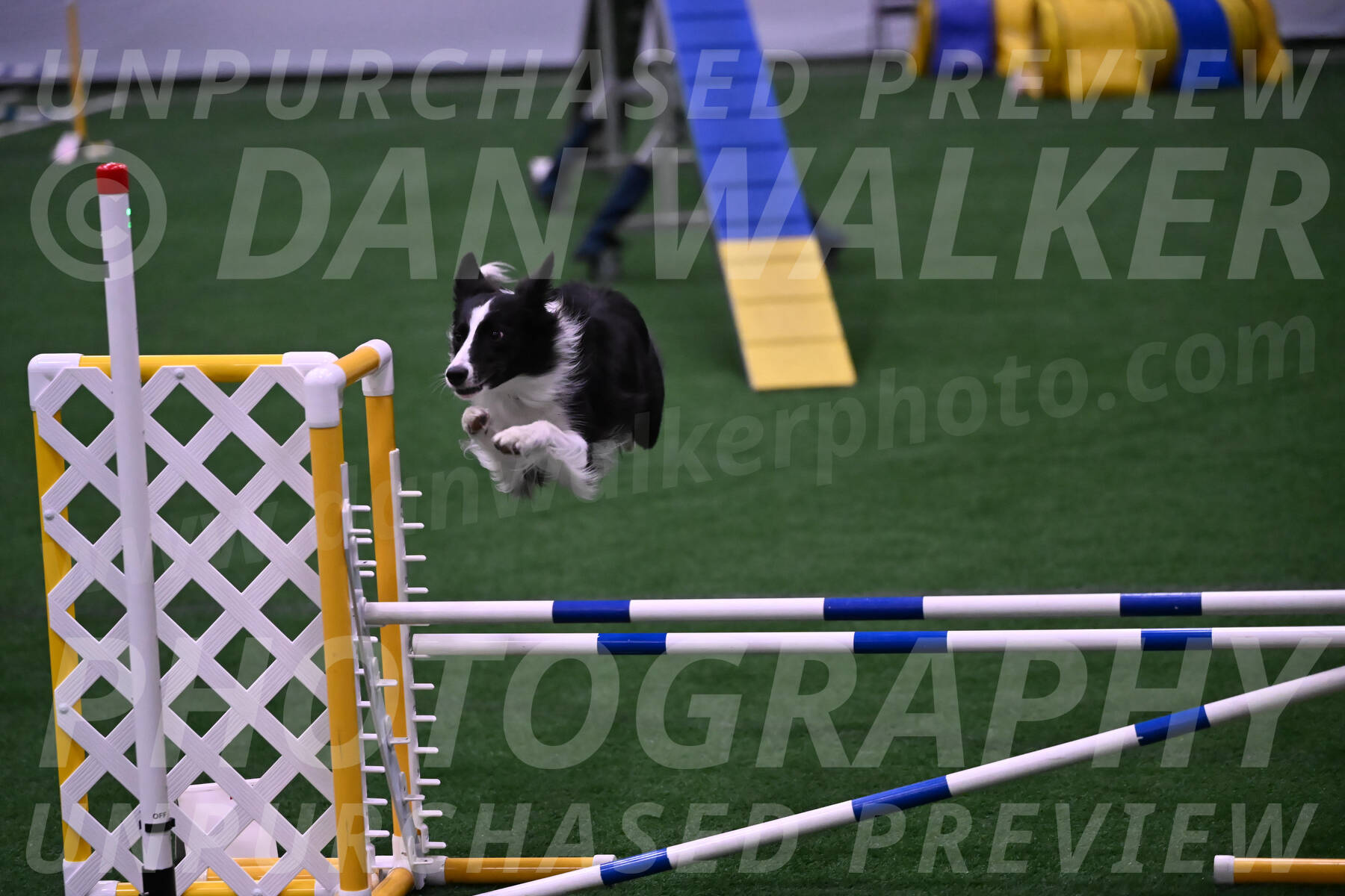 Keeper-Laurie-Wischt-02506