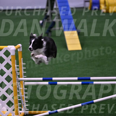 Keeper-Laurie-Wischt-02506