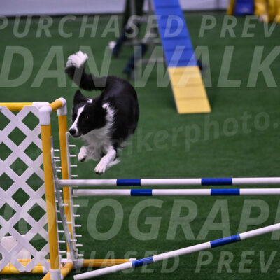 Keeper-Laurie-Wischt-02507