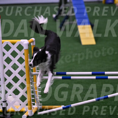 Keeper-Laurie-Wischt-02508