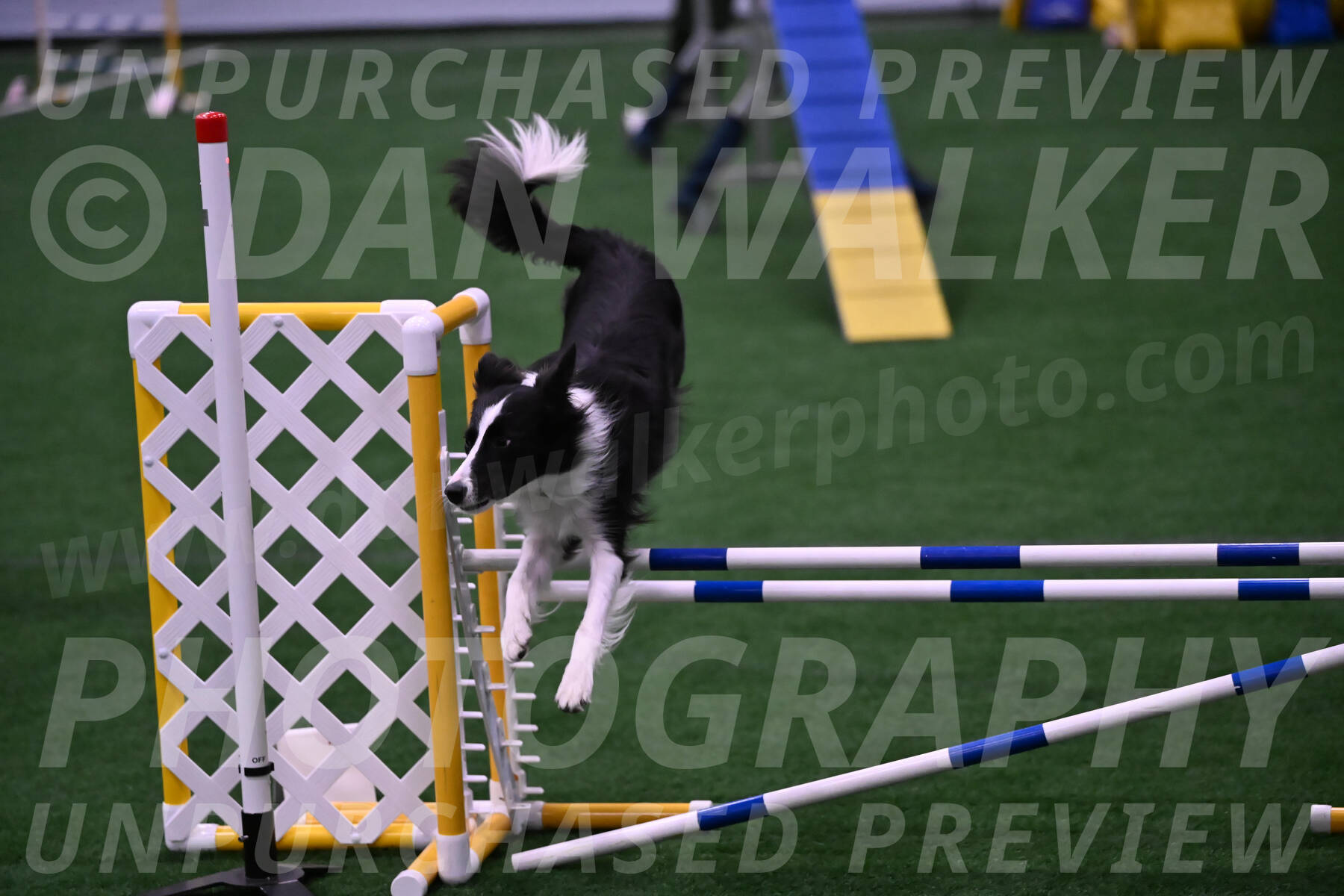Keeper-Laurie-Wischt-02508