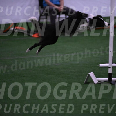 Keeper-Laurie-Wischt-02511