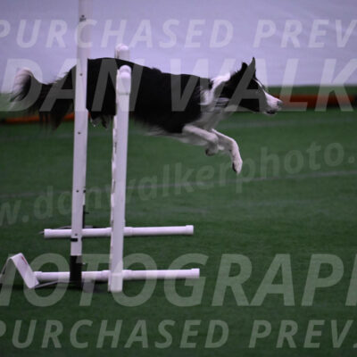 Keeper-Laurie-Wischt-02514