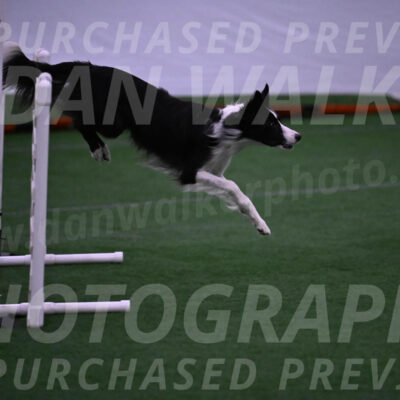 Keeper-Laurie-Wischt-02515