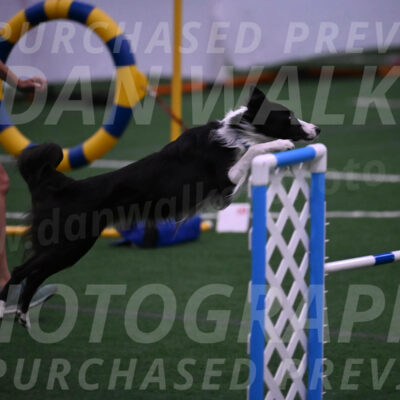 Keeper-Laurie-Wischt-02517