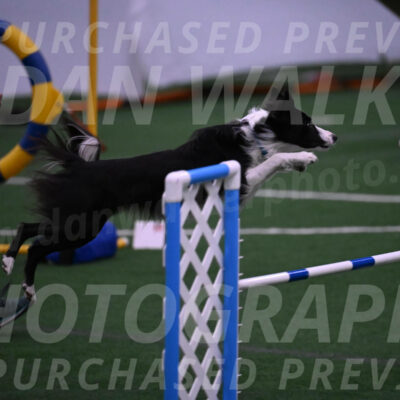 Keeper-Laurie-Wischt-02518