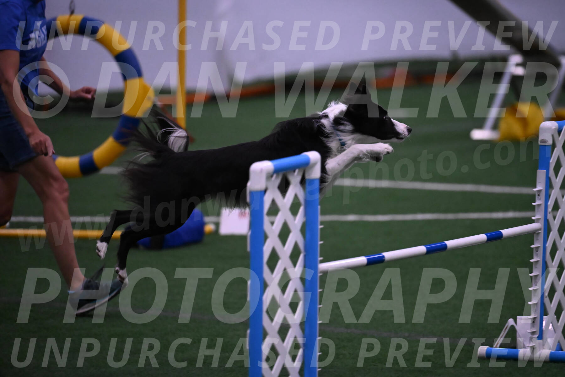 Keeper-Laurie-Wischt-02518