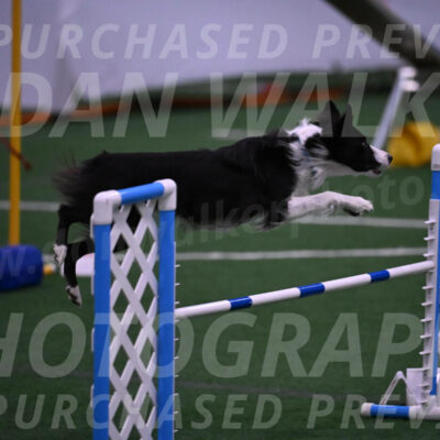 Keeper-Laurie-Wischt-02519