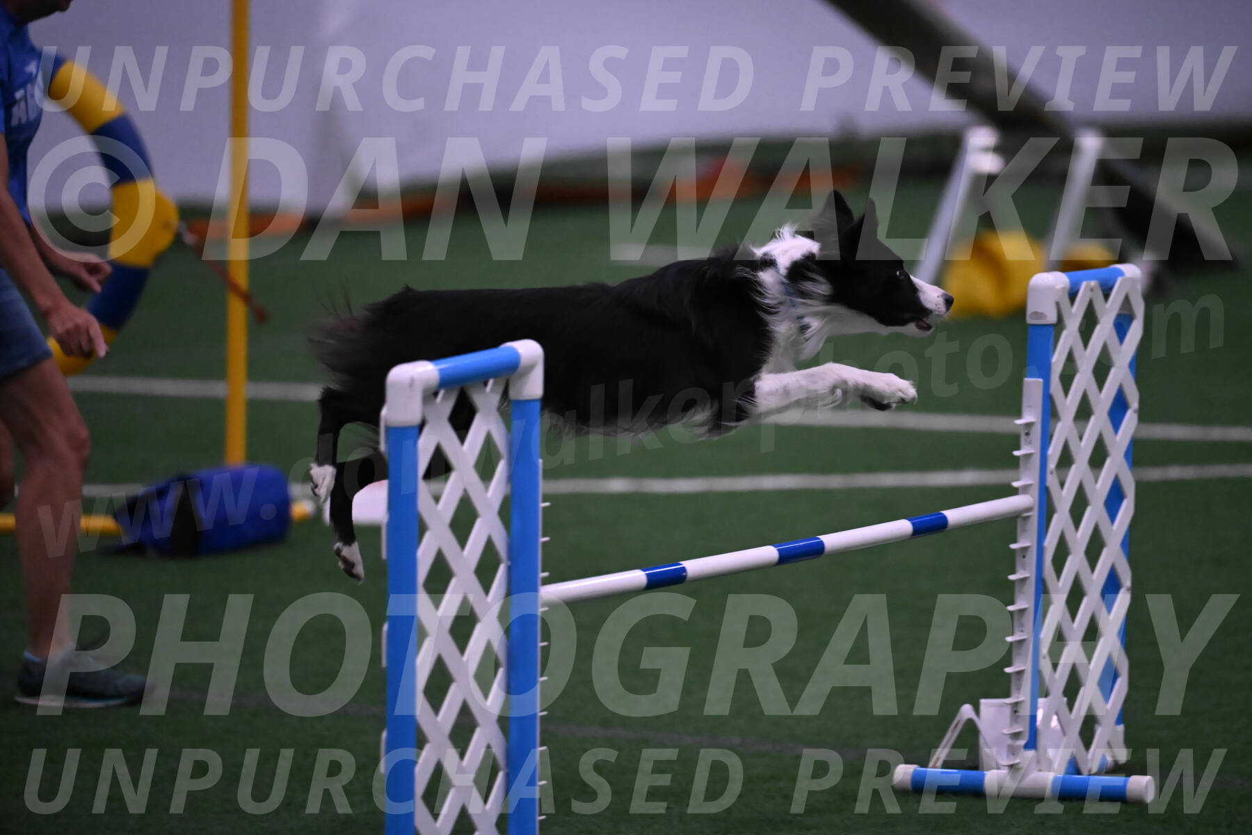 Keeper-Laurie-Wischt-02519