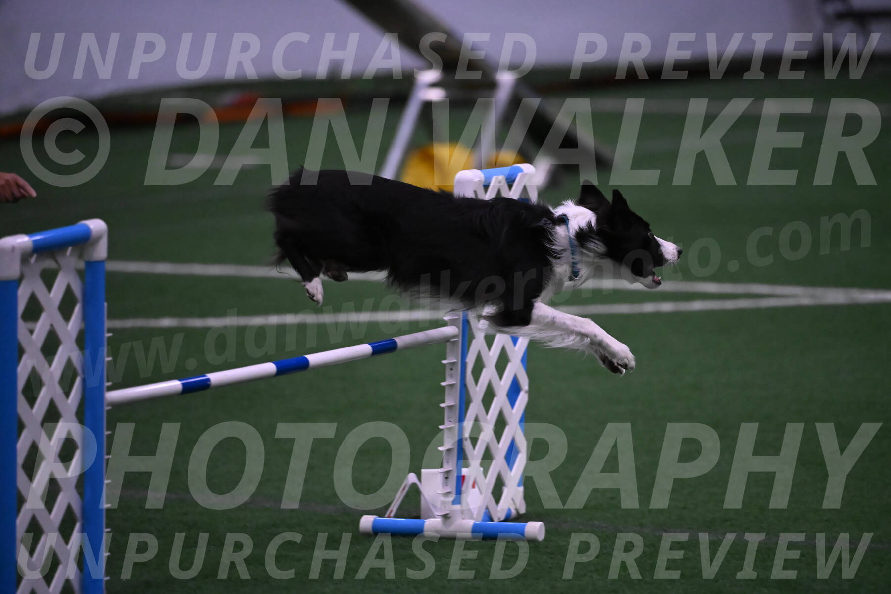 Keeper-Laurie-Wischt-02521