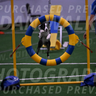 Keeper-Laurie-Wischt-02522