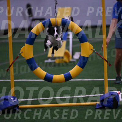 Keeper-Laurie-Wischt-02524