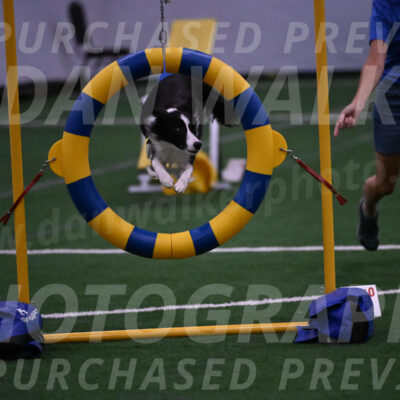 Keeper-Laurie-Wischt-02526
