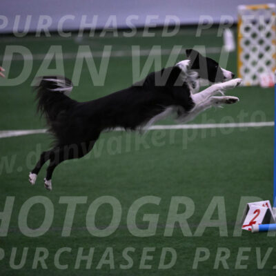 Keeper-Laurie-Wischt-02527