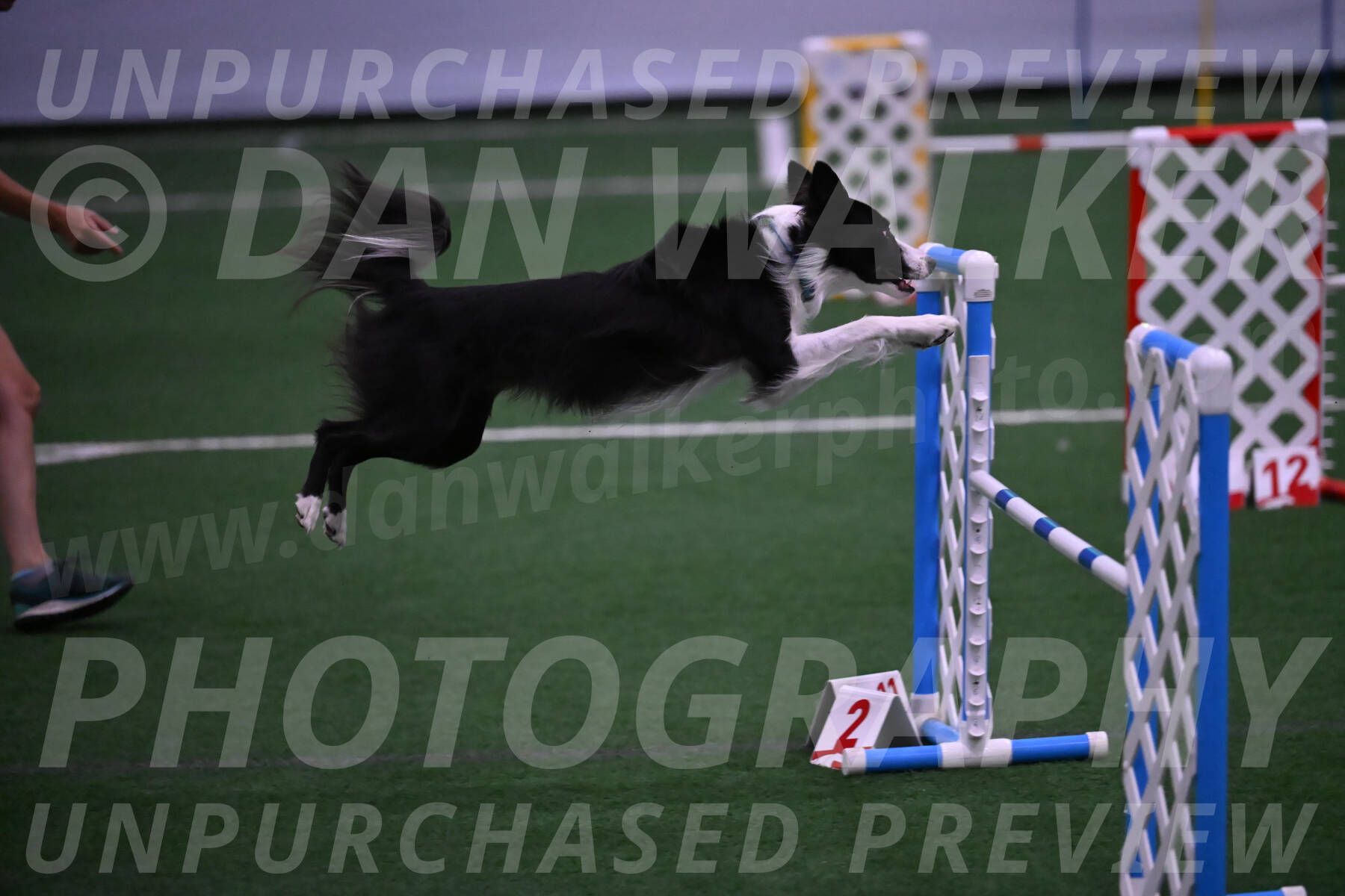 Keeper-Laurie-Wischt-02528