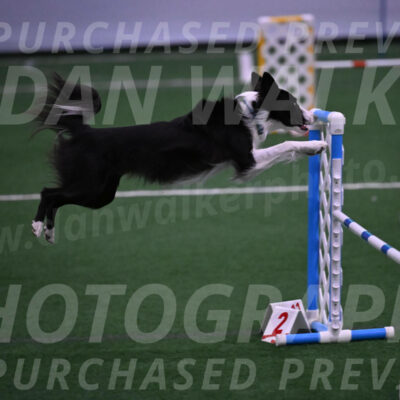 Keeper-Laurie-Wischt-02528