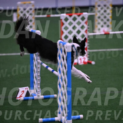Keeper-Laurie-Wischt-02531