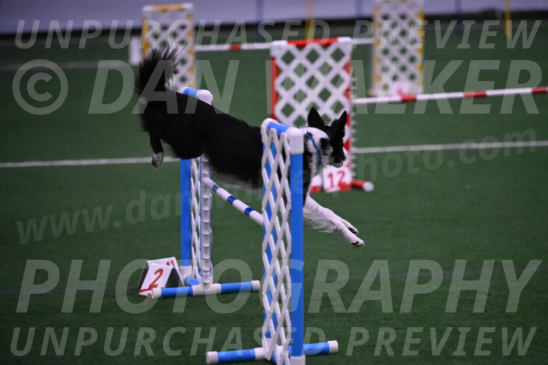 Keeper-Laurie-Wischt-02531