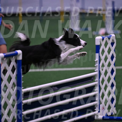 Keeper-Laurie-Wischt-02536