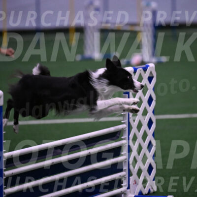 Keeper-Laurie-Wischt-02537