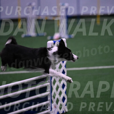 Keeper-Laurie-Wischt-02538