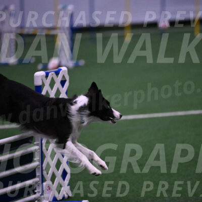 Keeper-Laurie-Wischt-02539