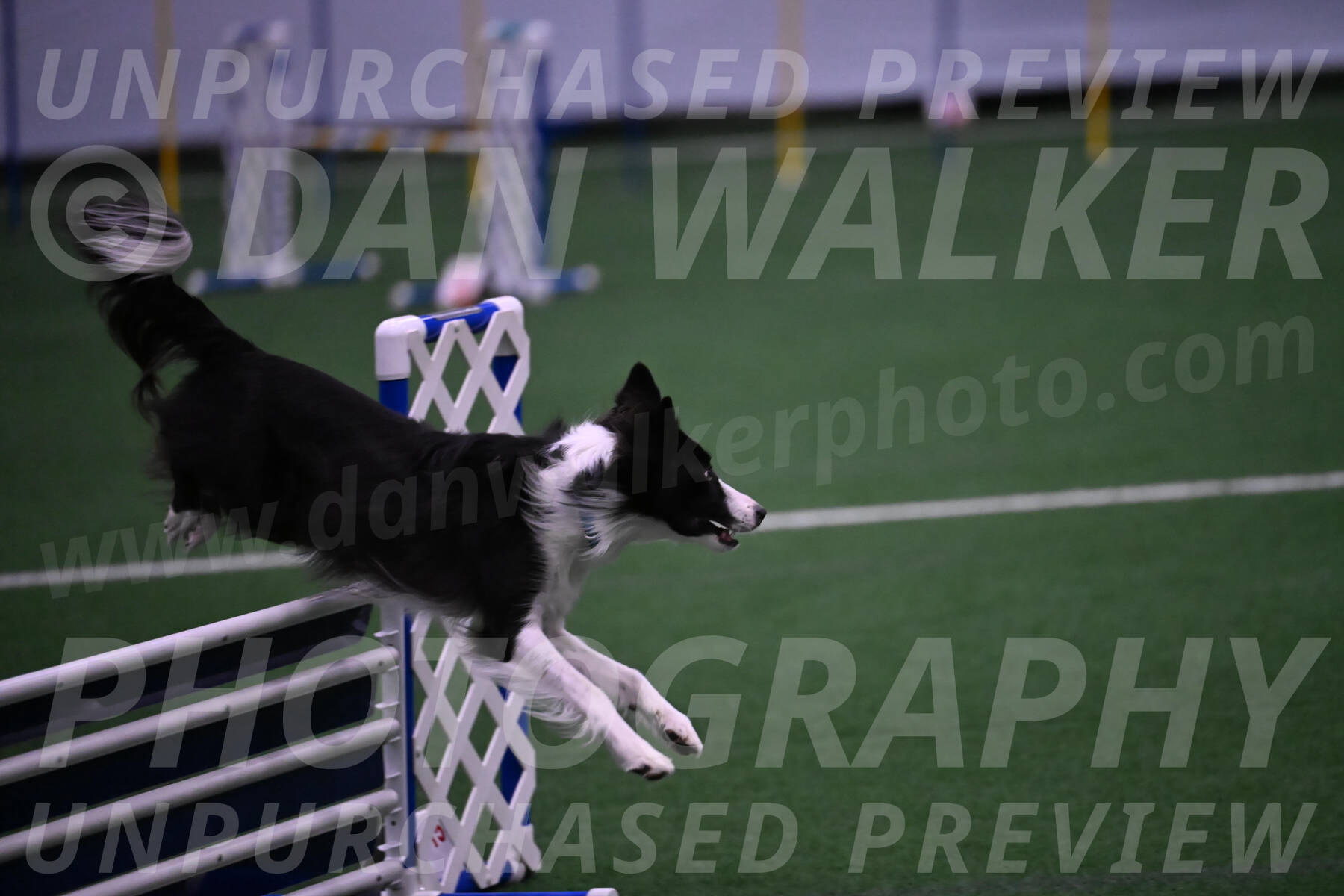 Keeper-Laurie-Wischt-02539