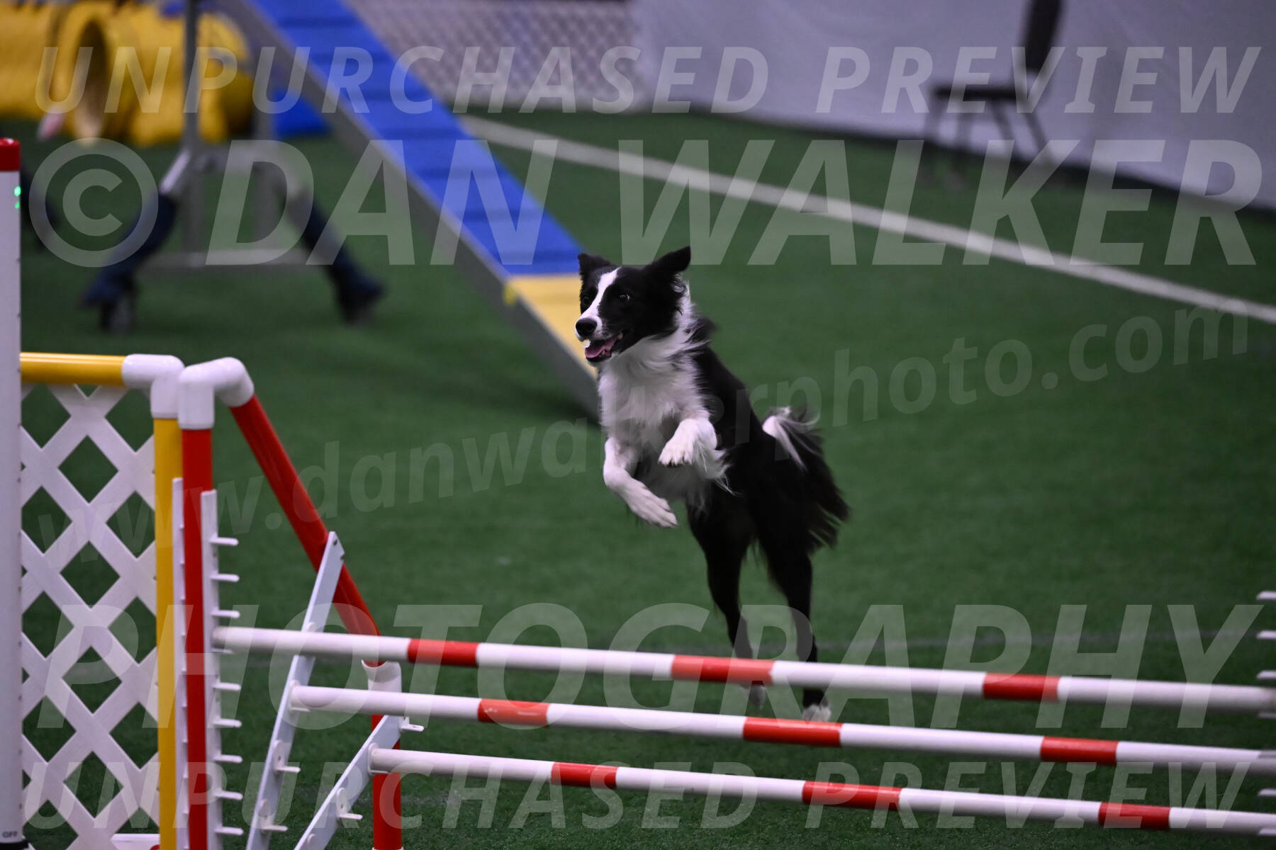 Keeper-Laurie-Wischt-02550