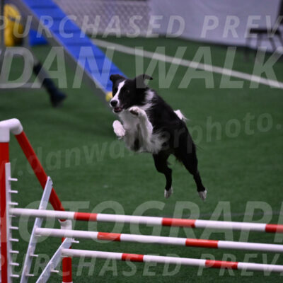 Keeper-Laurie-Wischt-02551