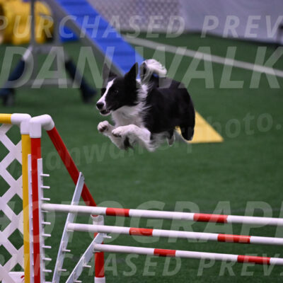 Keeper-Laurie-Wischt-02553