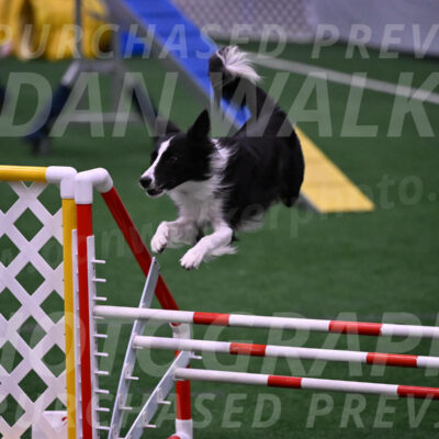 Keeper-Laurie-Wischt-02554