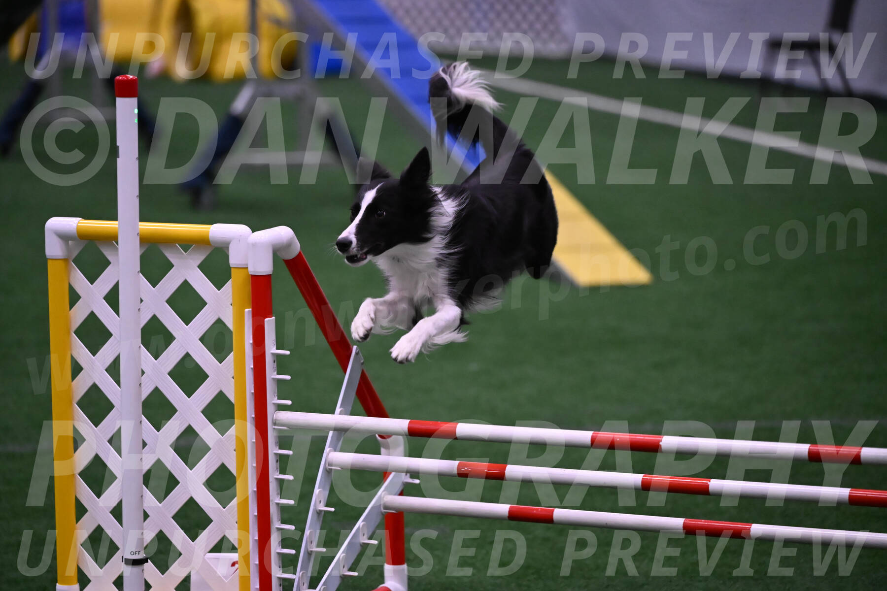 Keeper-Laurie-Wischt-02554