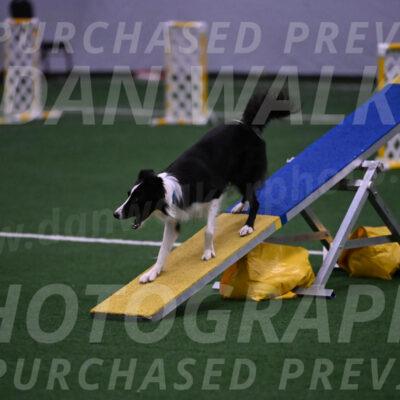 Keeper-Laurie-Wischt-02562