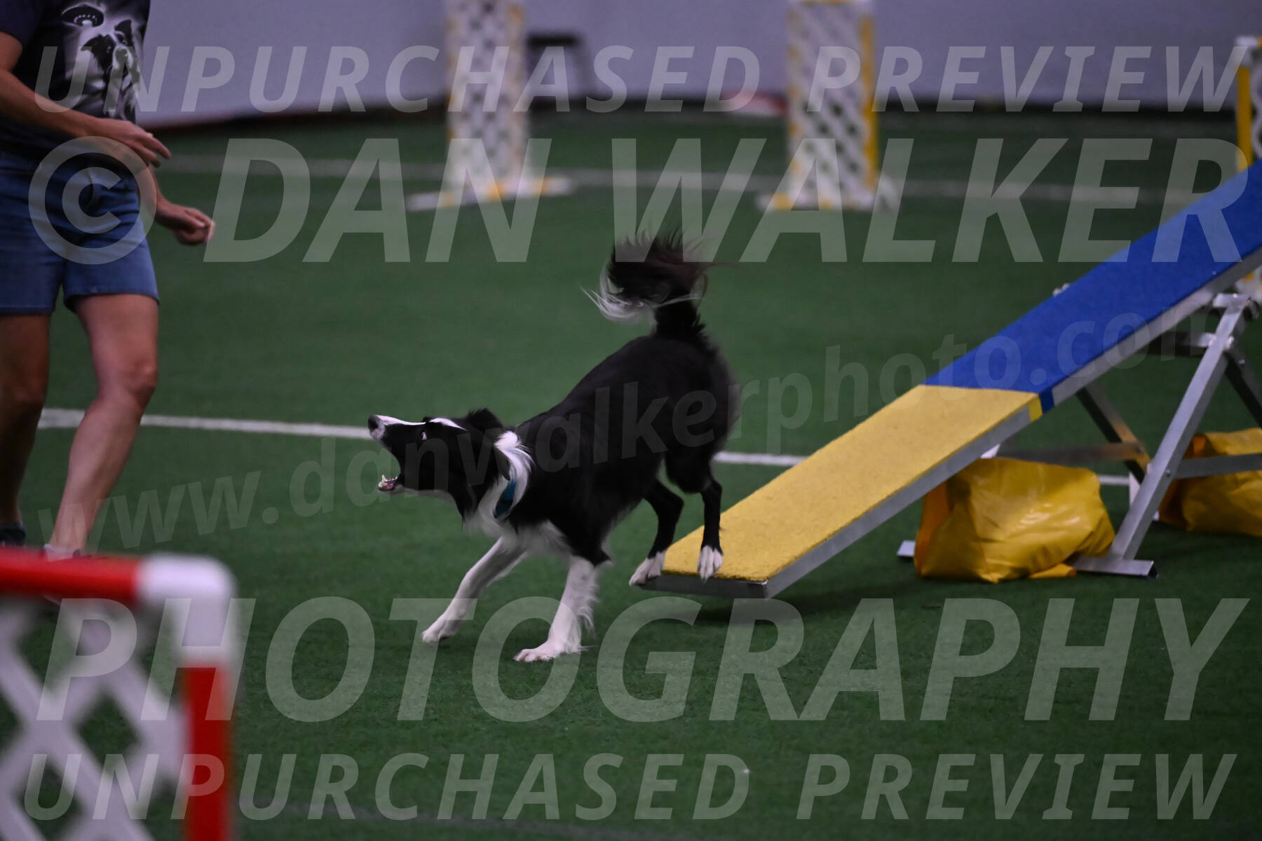 Keeper-Laurie-Wischt-02565