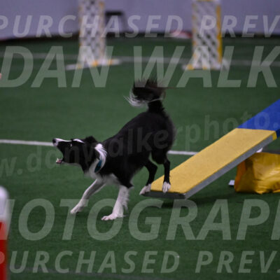 Keeper-Laurie-Wischt-02565