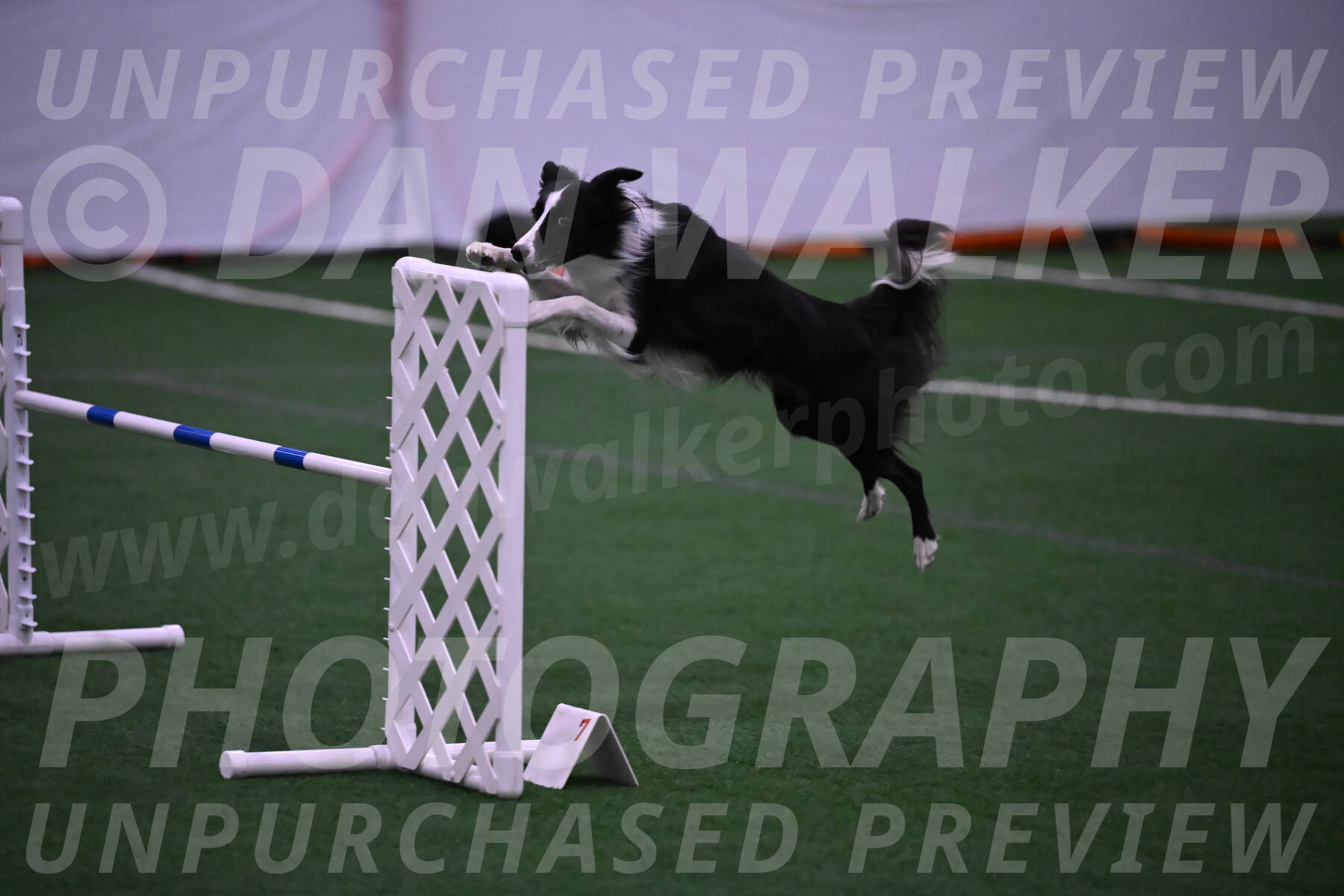 Keeper-Laurie-Wischt-02568